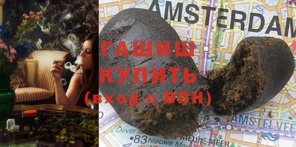 сатива Новокубанск