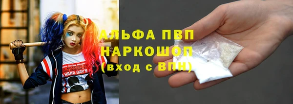 гашик Аркадак