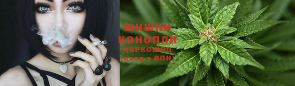 apvp Арсеньев