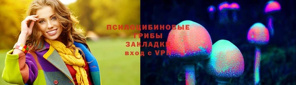 apvp Арсеньев