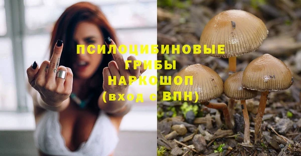 гашик Аркадак